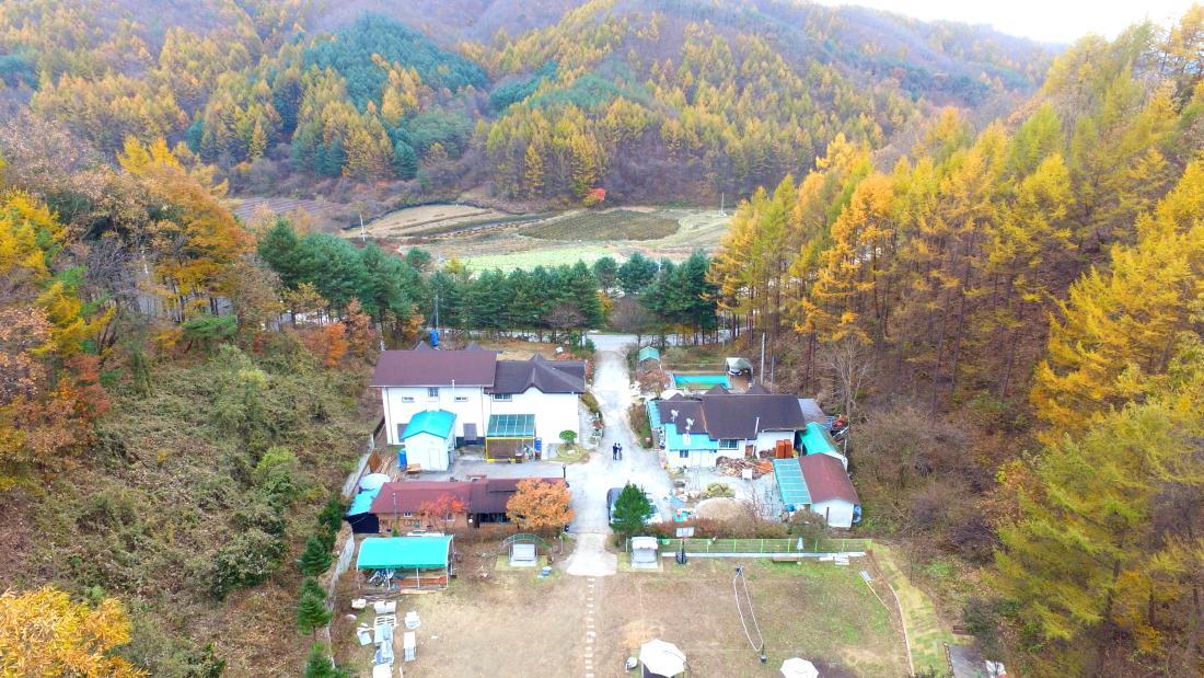 Pinearoma Pension Hongcheon Exterior photo